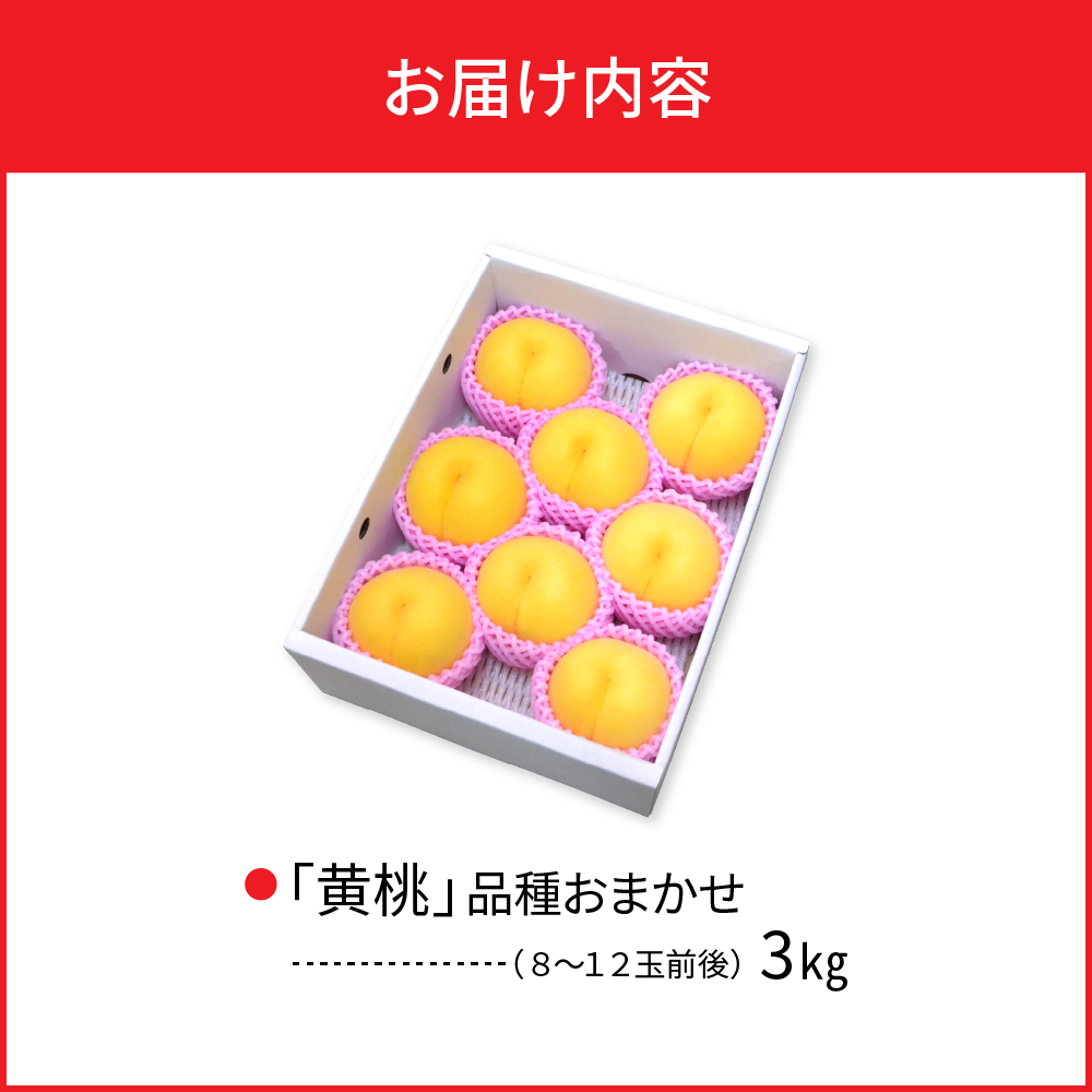 【令和8年産】黄桃 品種おまかせ 3kg (8～12玉前後) ギフト箱入 秀品 山形県産 【山形eLab】