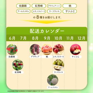 ※2024年発送※【令和6年産】山形県産 8種類 旬のフルーツ定期便（計8回） さくらんぼ ぶどう 桃 メロン等