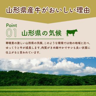 【3回隔月定期便】隔月お届け！湯せんで温めるだけ！ 山形県産 牛肉ハンバーグ 1.32kg （110g×12個入り）×3回