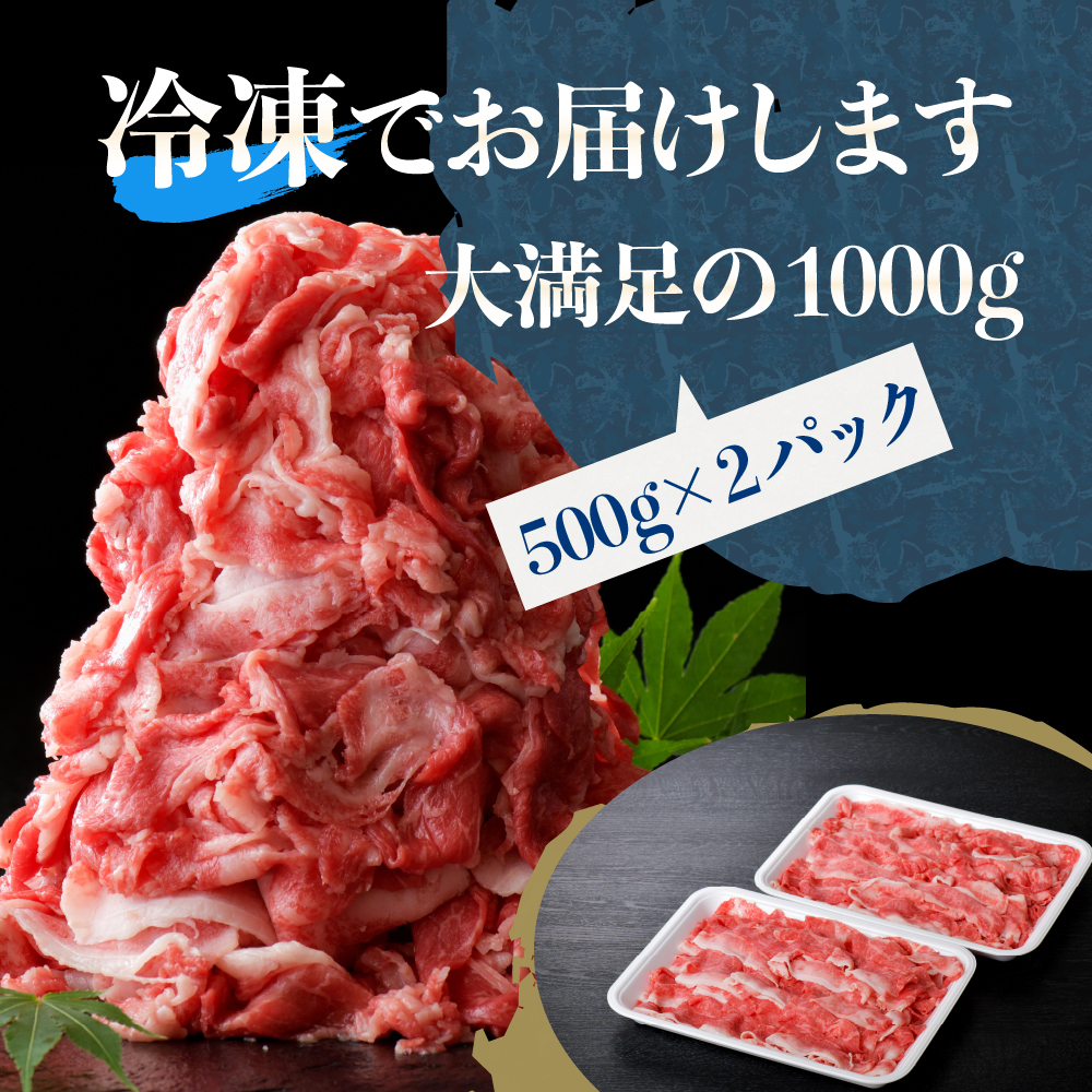 5等級！山形牛 牛肉 切り落とし 1kg 【数量限定】（500g×2パック）