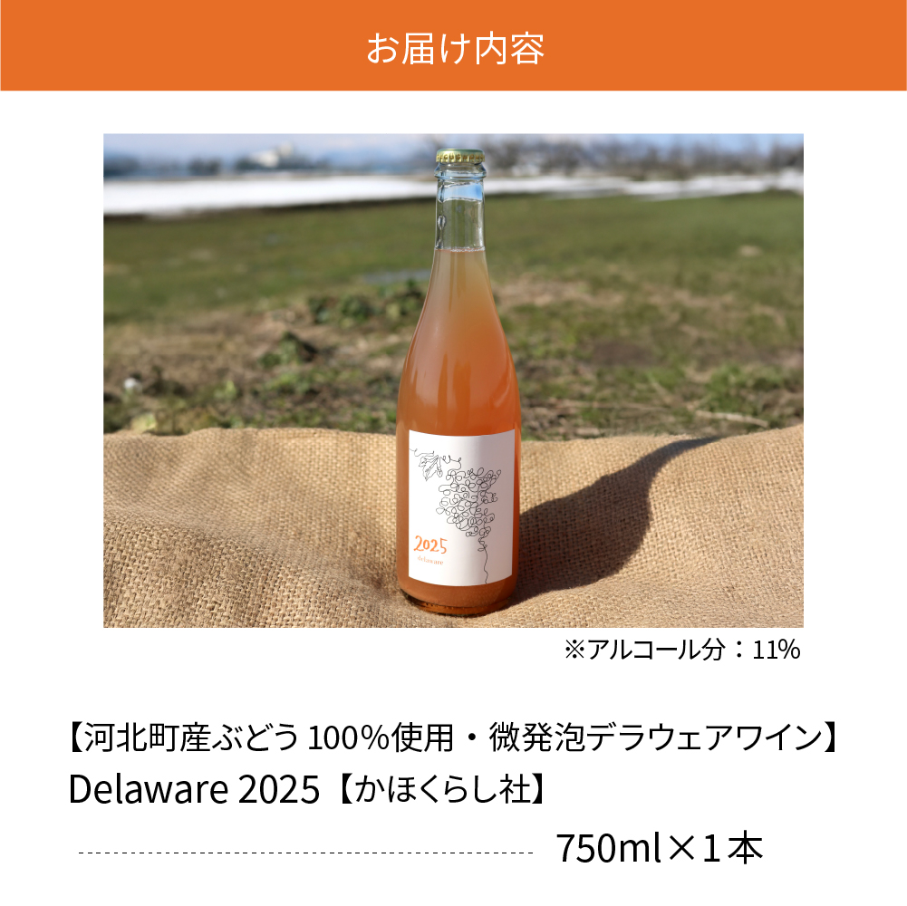 【河北町産ぶどう100％使用・微発泡デラウェアワイン】Delaware 2025（750ml×1本）【かほくらし社】 ワイン デラウェア 贈答 100％ ナチュラルワイン ka019-012j001-2025