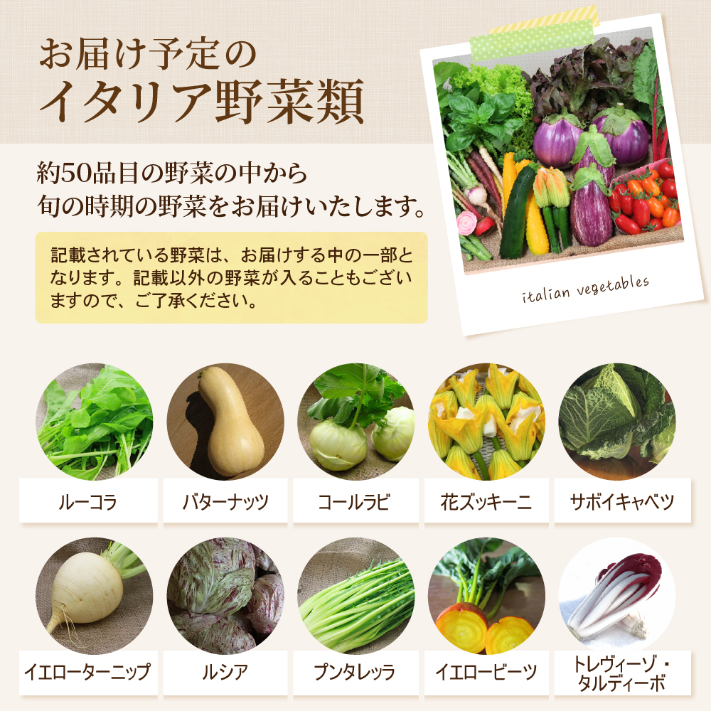 かほくイタリア野菜旬のおまかせBOX（約8～10種類） 野菜の説明&おしゃれな料理が簡単に作れちゃうレシピ付き♪ 8～10種類