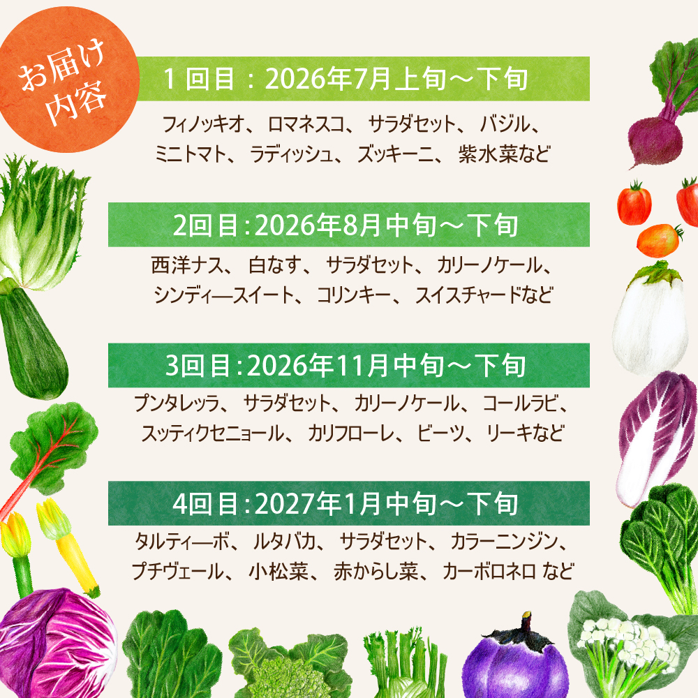 ※2026年7月発送スタート※【計4回定期便】山形県かほくの季節のイタリア野菜・地元野菜のおまかせセット【かほくらし社】 ka019-052f001-r8