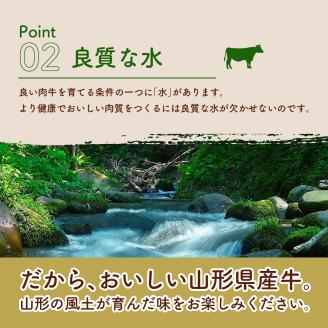 【3回隔月定期便】隔月お届け！湯せんで温めるだけ！ 山形県産 牛肉ハンバーグ 1.32kg （110g×12個入り）×3回
