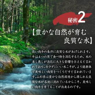 【数量限定】山形牛 最高級 プレミアム3ヶ月定期便　～贈るのは【最高ランク】5等級のみ！～