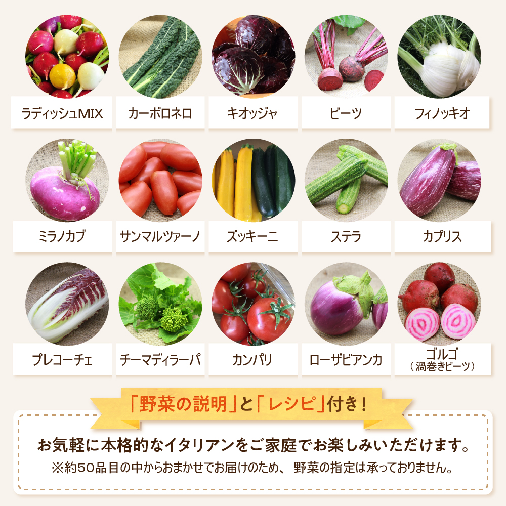 かほくイタリア野菜旬のおまかせBOX（約8～10種類） 野菜の説明&おしゃれな料理が簡単に作れちゃうレシピ付き♪ 8～10種類