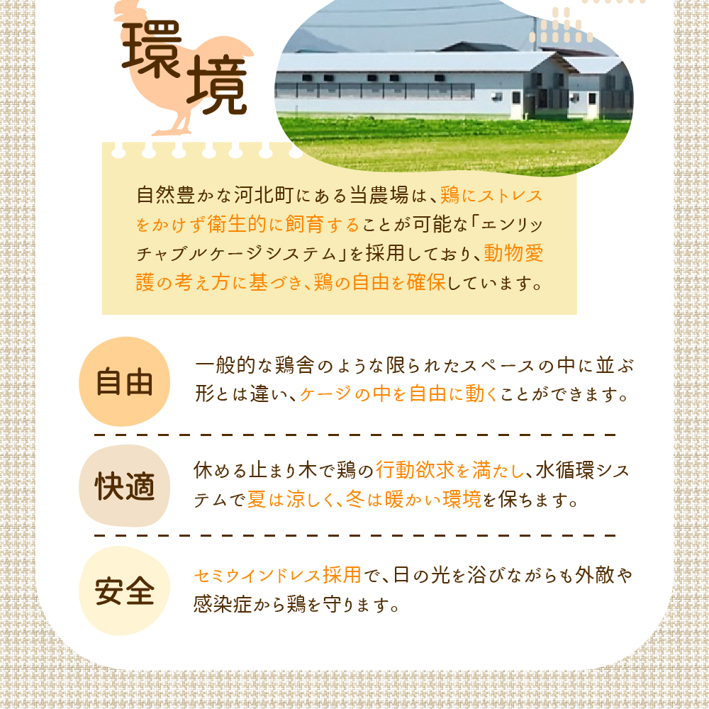 たまご 50個 入り（破損補償5個を含む）新鮮うみたて【ブランド 卵 いではのもみじ紅 】
