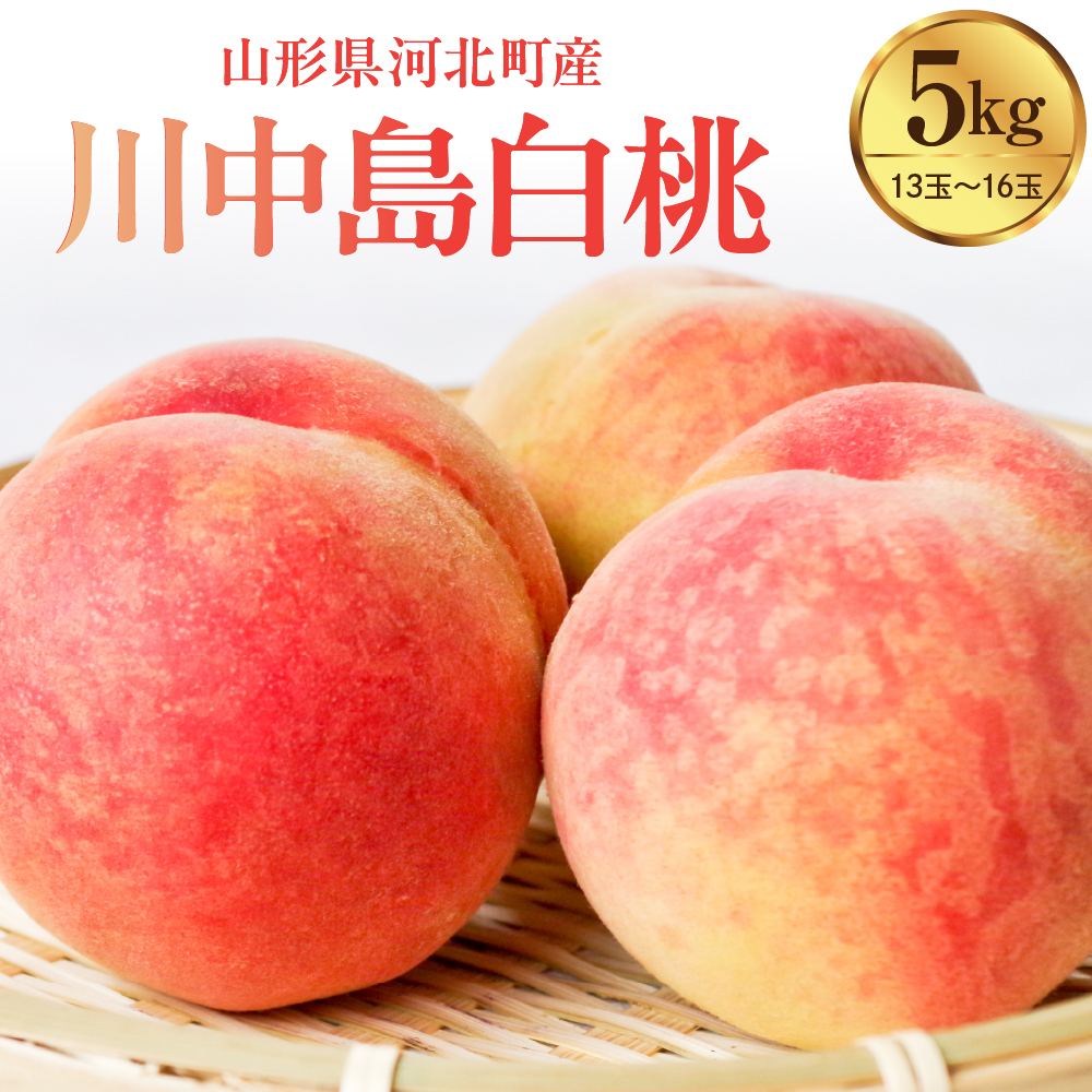 【令和8年産】川中島白桃 5kg（特秀 13玉～16玉）山形県河北町産 【河北町観光物産協会】 特秀 川中島 ka002-002-r8