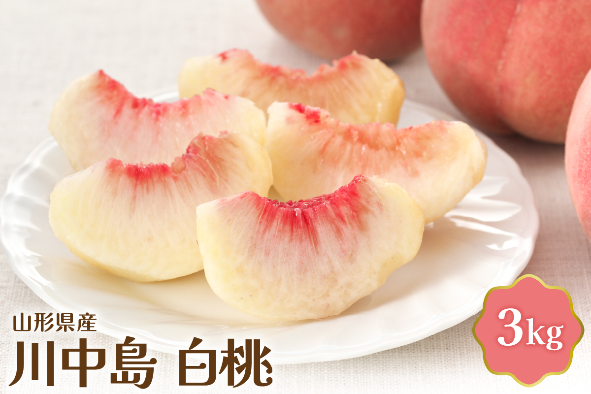 【令和8年産】 川中島白桃 3kg【JAさがえ西村山】　ka008-012e-r8