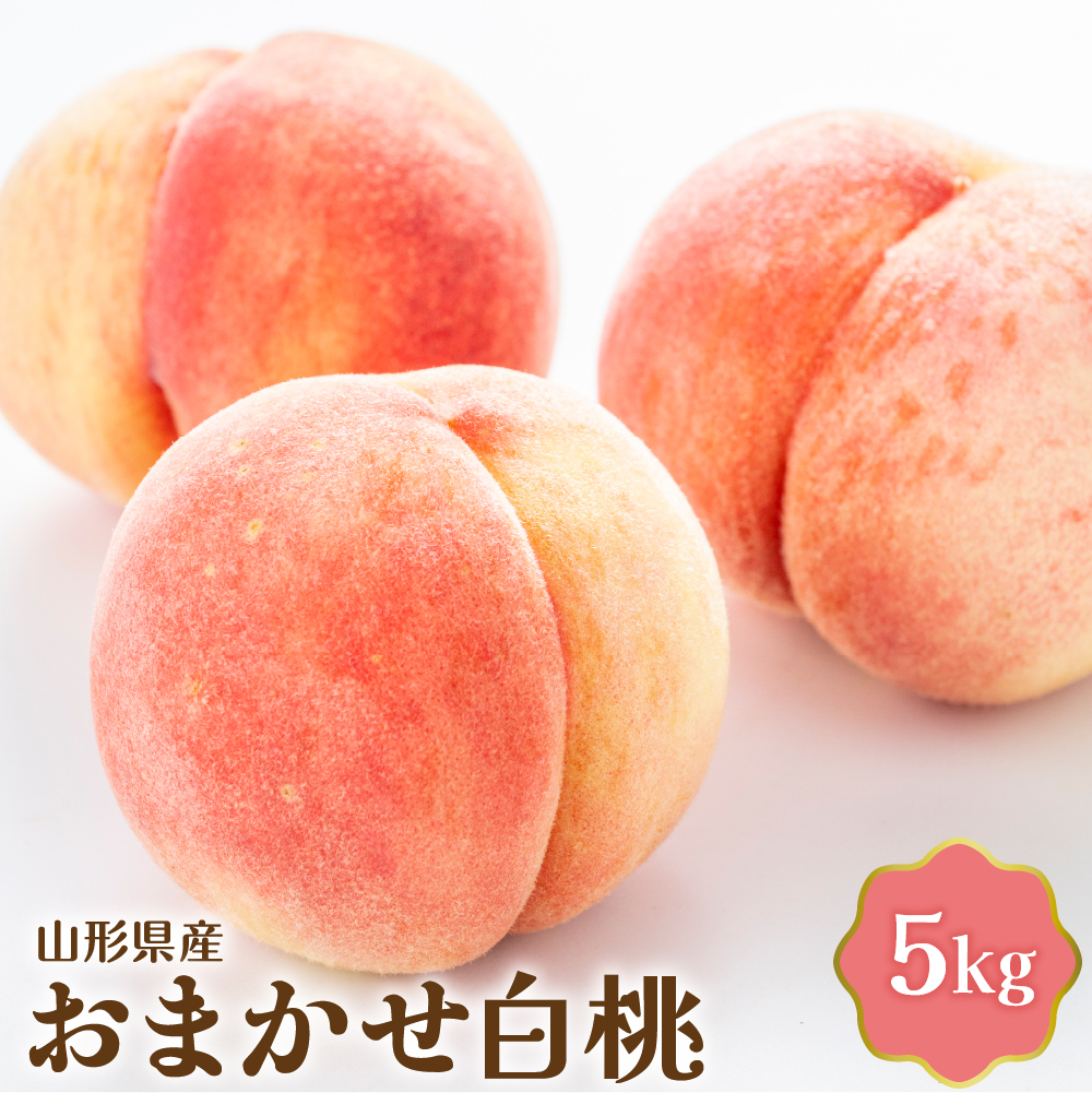 【令和8年産】おまかせ白桃 5kg【JAさがえ西村山】 ka008-013e-r8