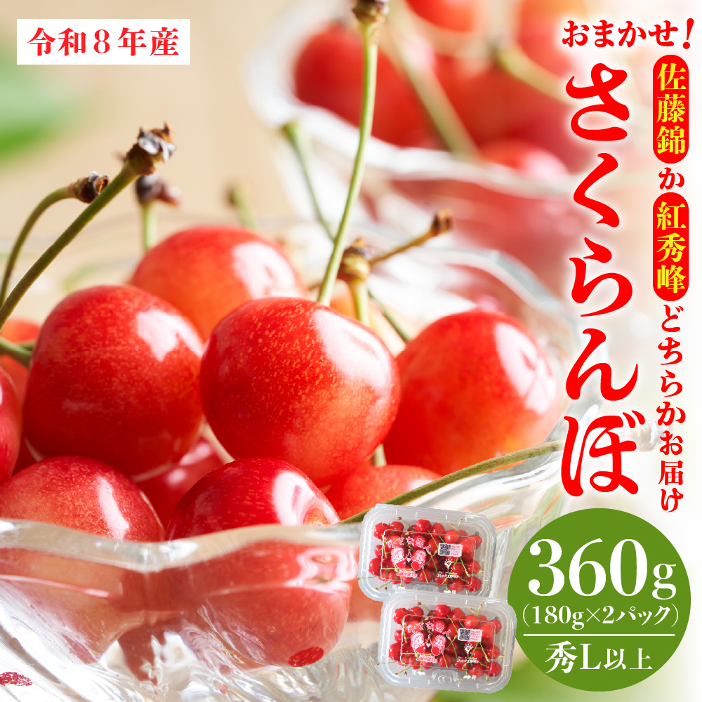 【令和8年産】おまかせさくらんぼ「佐藤錦or紅秀峰」秀Ｌ以上 360g （180gフードパック×2パック）【JAさがえ西村山】