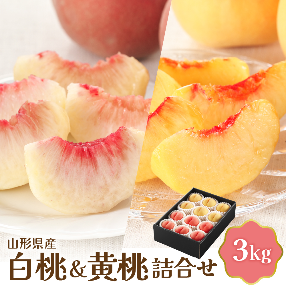 【令和8年産】白桃＆黄桃詰め合わせ 3kg 【JAさがえ西村山】 山形県 河北町 詰め合わせ 食べ比べ 人気 桃 白桃 黄桃 ka008-112e