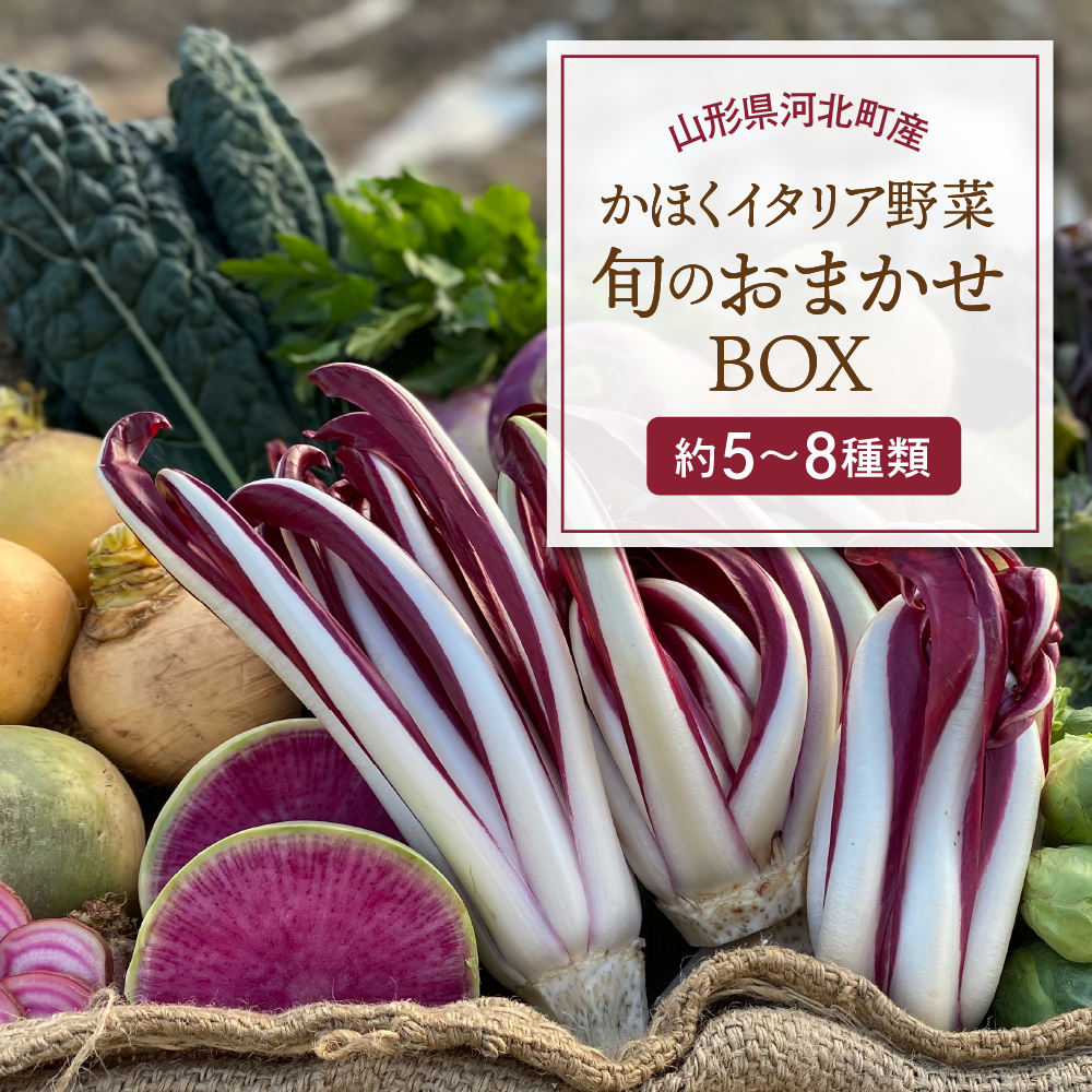 かほくイタリア野菜旬のおまかせBOX（約5～8種類） 野菜の説明&おしゃれな料理が簡単に作れちゃうレシピ付き♪ 5～8種類