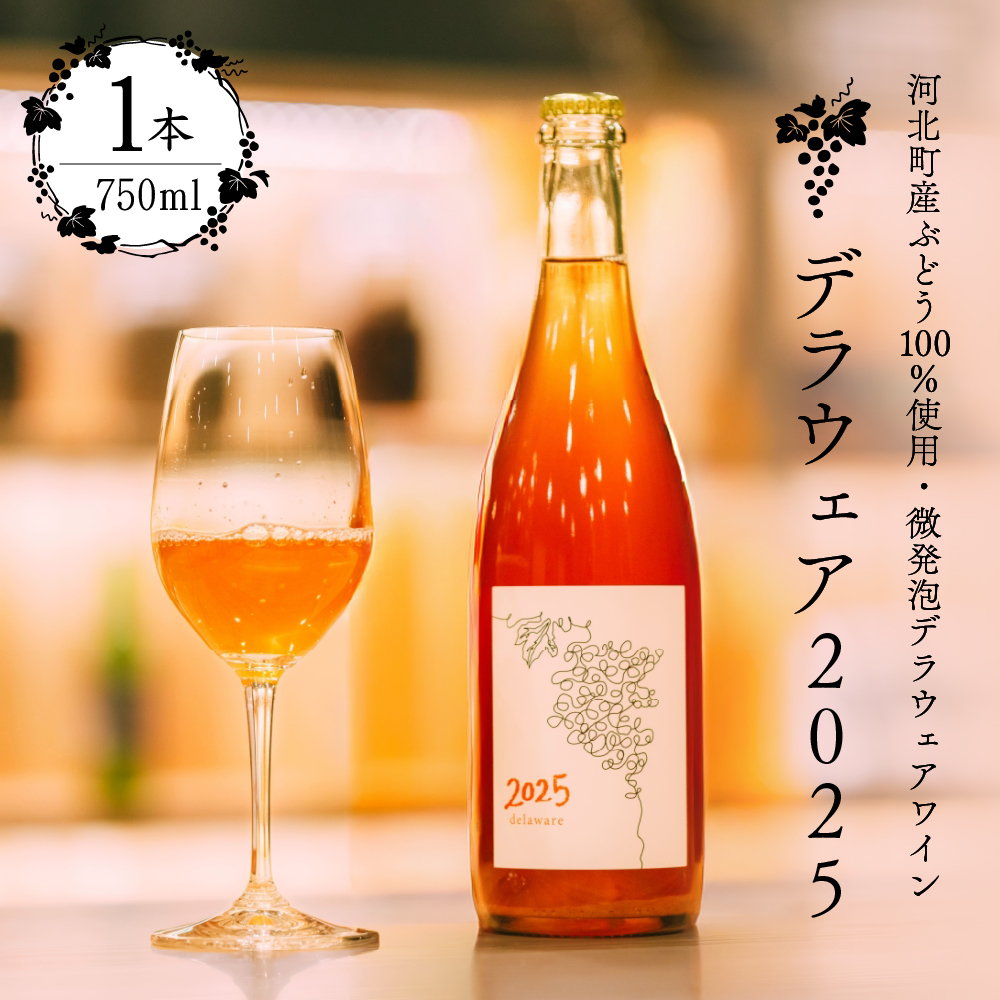 【河北町産ぶどう100％使用・微発泡デラウェアワイン】Delaware 2025（750ml×1本）【かほくらし社】 ワイン デラウェア 贈答 100％ ナチュラルワイン ka019-012j001-2025