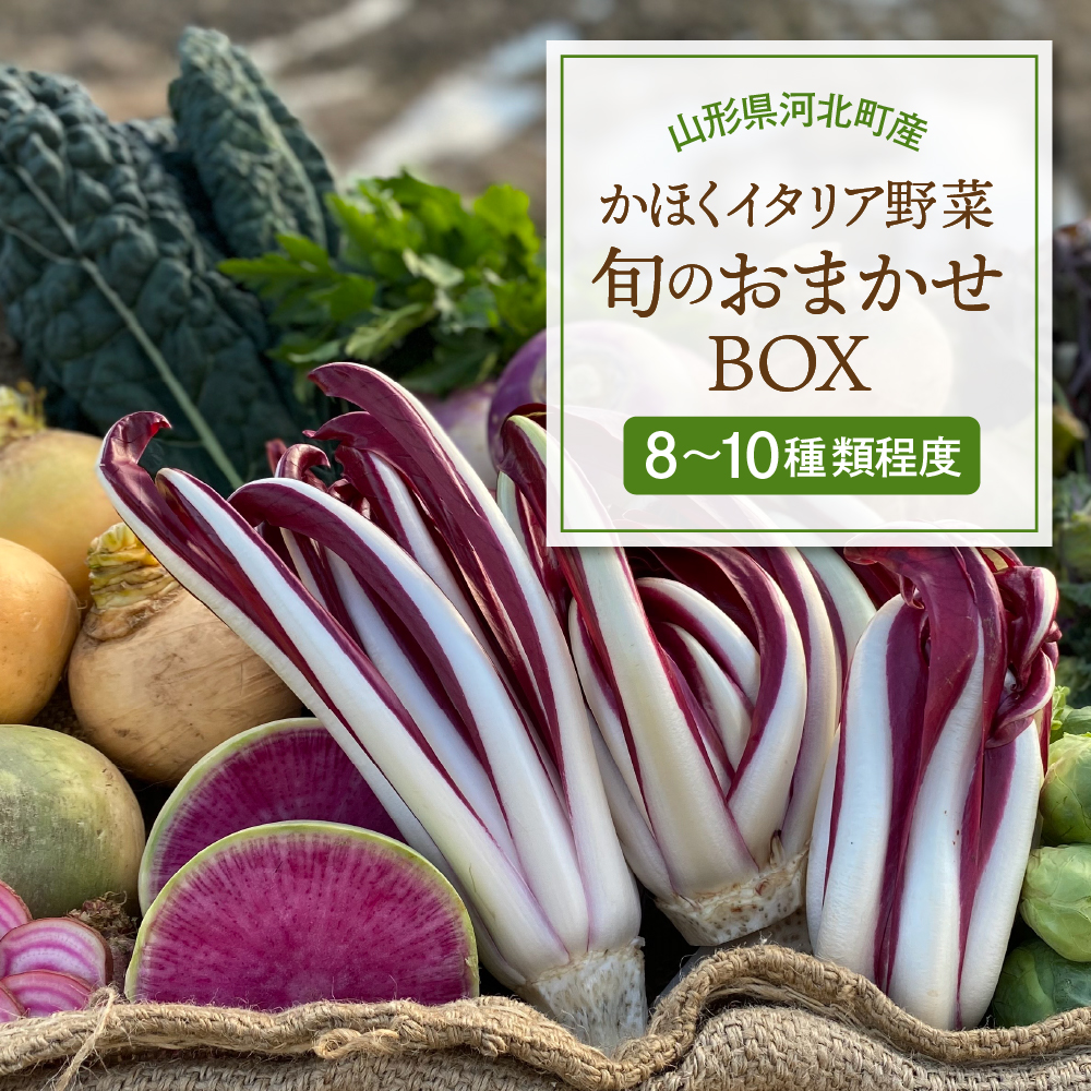 かほくイタリア野菜旬のおまかせBOX（約8～10種類） 野菜の説明&おしゃれな料理が簡単に作れちゃうレシピ付き♪ 8～10種類