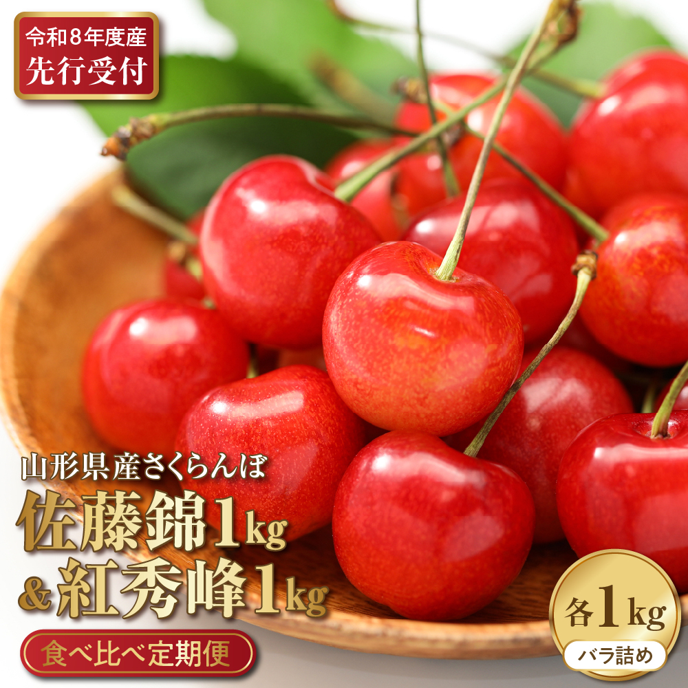 【2026年産先行予約】さくらんぼ食べ比べ2回定期便 「佐藤錦」と「紅秀峰」 各1㎏(500g×2） 山形県河北町産 【晴天畑】 さくらんぼ 贈答 ギフト 秀品 先行予約 食べ比べ 令和8年産 ka073-011
