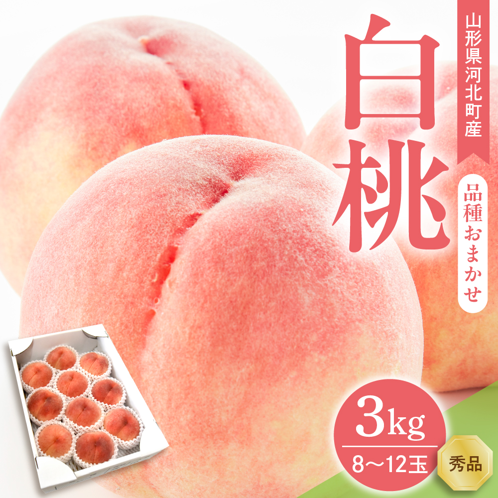 【令和8年産】白桃 品種おまかせ 3kg (8～12玉前後) ギフト箱入 秀品 山形県産【山形eLab】ka074-008-r8
