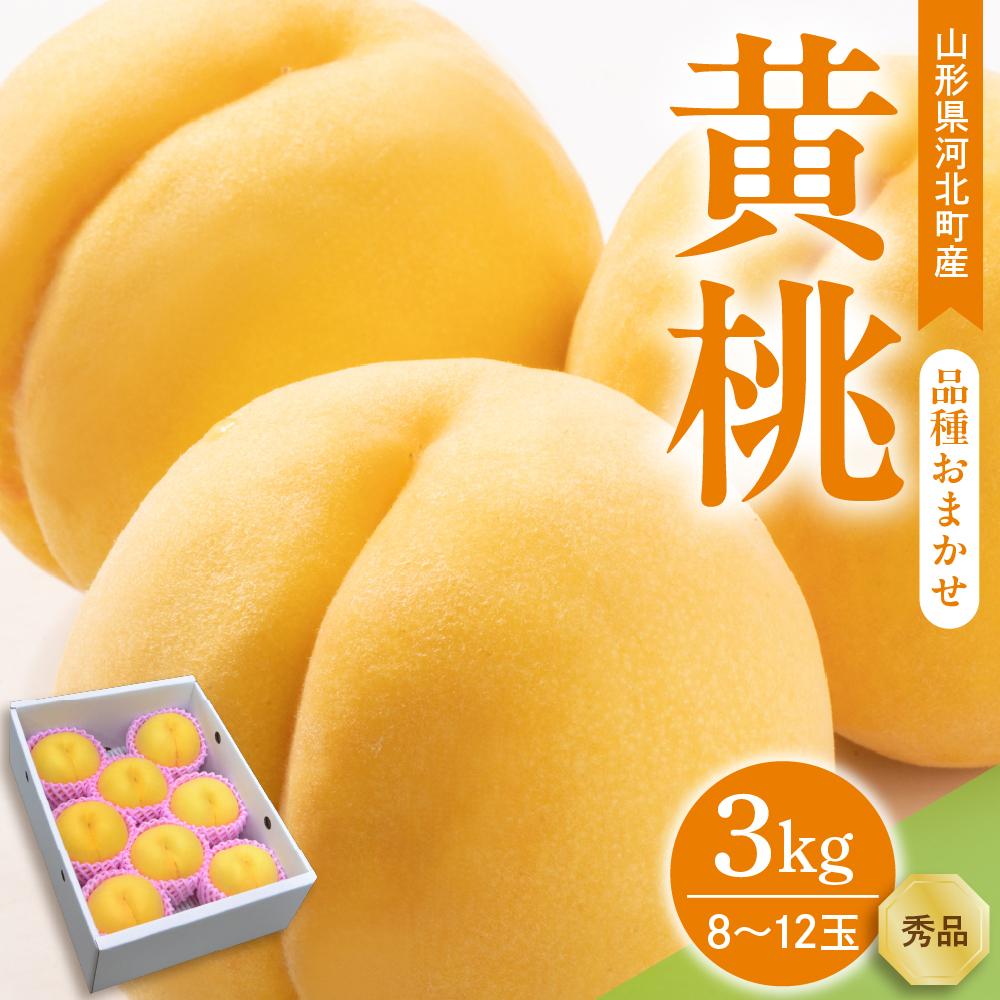 【令和8年産】黄桃 品種おまかせ 3kg (8～12玉前後) ギフト箱入 秀品 山形県産 【山形eLab】