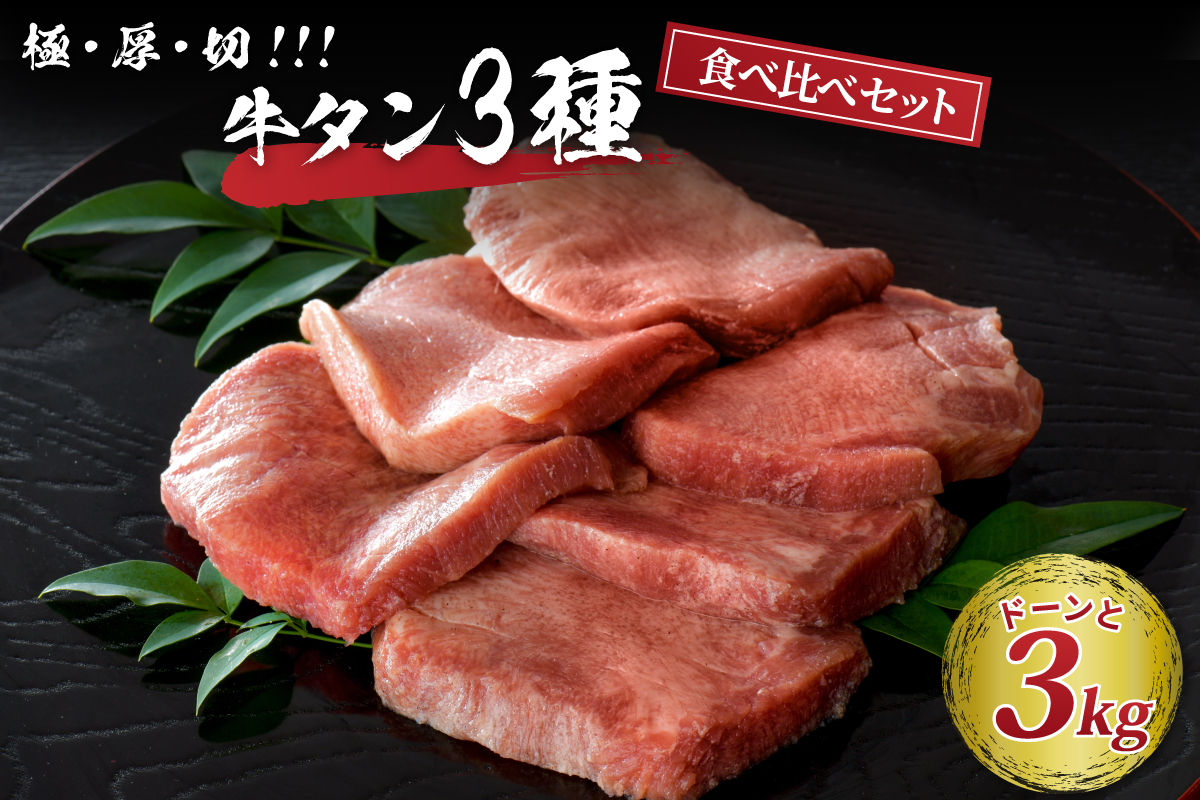 味付き厚切り牛タン 約3000g(約300g×10パック)