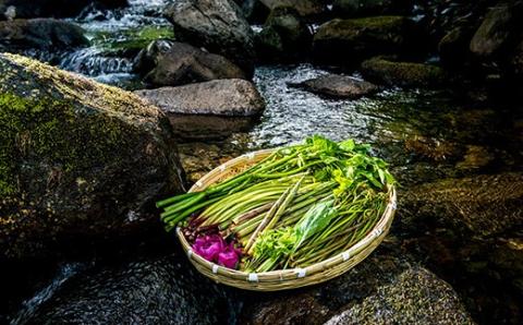 FYN9-230 《国産》塩蔵わらび 西川町産 3kg （1kg×3パック）