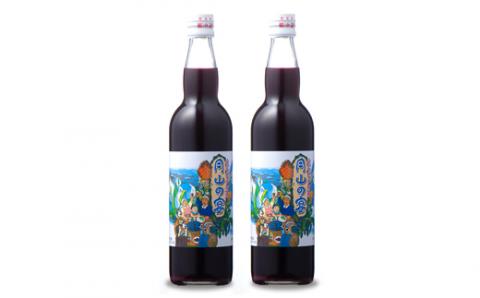 FYN9-425 月山自然水「月光の水」& 山ぶどう原液「月山の宴」詰合せ 詰め合わせ 山形県 西川町