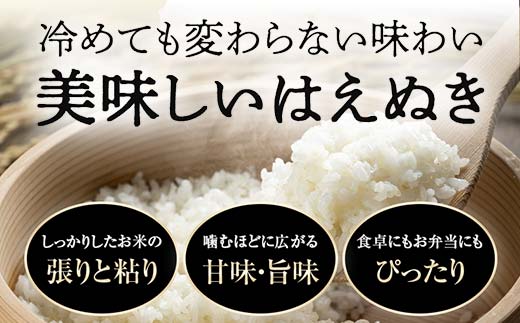 FYN1-215 令和7年産 山形県産 はえぬき 10kg 2025年 お米 米 米米 ごはん ご飯 白米 国産 ブランド米 節水 時短 冷めてもおいしい お取り寄せ 食品 山形県 西川町 月山