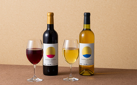 FYN6-246 【月山トラヤワイナリー】 毎月2本お届け ワイン飲み比べ定期便 3回 赤ワイン 白ワイン 山形県 西川町 酒