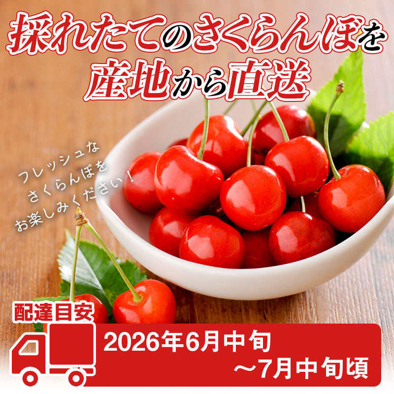 FYN6-252 ≪2026年先行予約≫山形県産 さくらんぼ 品種おまかせ(佐藤錦・紅秀峰など) 400g 秀/L以上 バラパック詰め 2026年6月中旬頃より発送 果物 くだもの フルーツ 夏果実 サクランボ チェリー 桜桃 高級 化粧箱 ギフト箱 贈り物 贈答 ギフト プレゼント 自宅 家庭 産地直送 山形県 西川町 月山