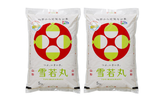 FYN6-272 【定期便3回】令和7年度 山形県 西川町産 無洗米 雪若丸 10kg(5㎏×2)×3回 合計30kg 精米 白米 米 こめ ライス ごはん ご飯 ブランド米 銘柄米 家庭用 自宅用 贈答用 お取り寄せ 定期便 定期 毎月 食品 時短 節水 2025年 西川町 月山