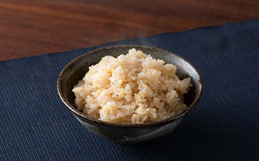 FYN6-281 令和7年度 山形県産 はえぬき 玄米 5kg お米 米 ごはん ご飯 げんまい 銘柄米 ブランド米 2025年 自宅 家庭 贈り物 プレゼント 贈答 ギフト 食品 山形県 西川町 月山