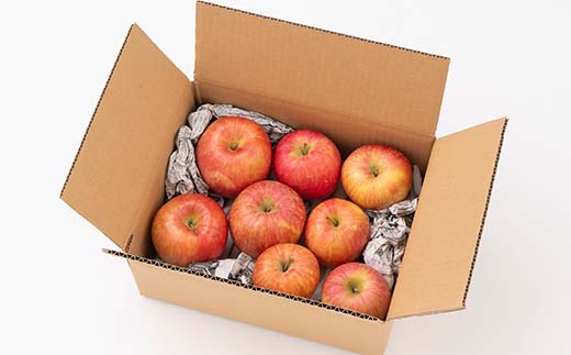 FYN6-403 ご家庭用 山形県産 品種おまかせ りんご 赤色系 約2kg 2025年10月上旬から順次発送 果物 くだもの フルーツ 林檎 リンゴ アップル 秋果実 生産者支援 農業者支援 支援品 自宅用 家庭用 訳アリ ワケアリ 山形県 西川町 月山