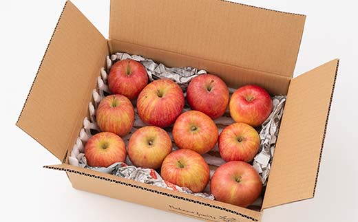 FYN6-404 ご家庭用 山形県産 品種おまかせ りんご 赤色系 約3kg 2025年10月上旬から順次発送 果物 くだもの フルーツ 林檎 リンゴ アップル 秋果実 生産者支援 農業者支援 支援品 自宅用 家庭用 訳アリ ワケアリ 山形県 西川町 月山