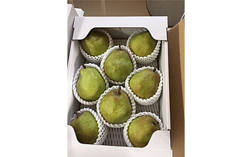 FYN6-427 ≪2026年先行予約≫山形県産 西洋梨 ラ・フランス 3kg (8～12玉) 2026年11月中旬から順次発送 洋梨 洋なし ラフランス 秋果実 果物 くだもの フルーツ ギフト 産地直送 山形県 西川町 月山