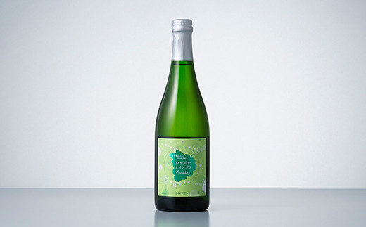 FYN6-466 月山トラヤワイナリー ナイアガラスパークリング 山形県 西川町