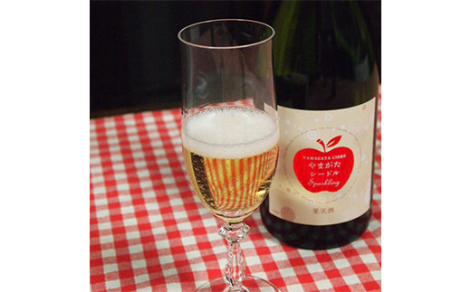 FYN6-467 月山山麓 シードルスパークリング＆ロゼスパークリング ワインセット ライトボディ 山形県 西川町