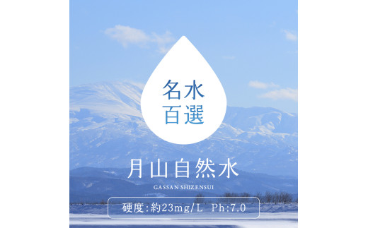 FYN9-013 月山自然水500ml×24本 天然水 国産 備蓄 防災 保存 ペットボトル ナチュラル 山形県 西川町