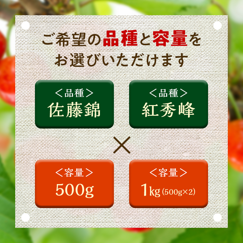 FYN9-256 《2026年先行予約》山形県産 さくらんぼ 佐藤錦 1kg(500g×2) 秀 L以上 バラパック詰め 2026年6月上旬から順次発送 果実 果物くだもの フルーツ 桜桃 サクランボ 化粧箱 贈り物 ギフト 贈答用 家庭用 自宅用 産地直送 山形県 西川町 月山 佐藤錦 1kg(500g×2)