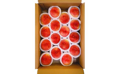 FYN9-381 《2026年先行予約》ご家庭用 山形県産 品種 おまかせ 白桃 約5kg 2026年8月上旬から順次発送 夏果実 果実 果物 くだもの フルーツ 桃 もも ピーチ 家庭用 自宅用 訳あり 農業者 農家 支援品 産地直送 山形県 西川町 月山