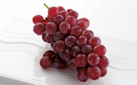 FYN9-383 《2026年先行予約》山形県産 デラウェア 約2kg 2026年8月上旬から順次発送 種無し 食べやすい ぶどう ブドウ 葡萄 くだもの 果物 フルーツ 夏果実 自宅 家庭 産地直送 農家直送 山形県 西川町 月山