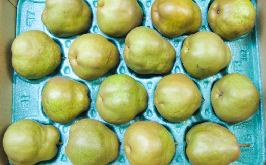 FYN9-387 ≪2026年先行予約≫山形県産 西洋梨 ラ・フランス 5kg(14～20個) 2026年11月上旬から順次発送 洋梨 ラフランス 秋果実 果物 くだもの フルーツ 自宅用 産地直送 山形県 西川町 月山