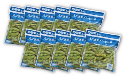 FYN9-388 ≪2026年先行予約≫山形県産 秘伝豆 2.5kg（250g×10袋）2026年9月中旬から順次発送 小分け 個包装 青大豆 枝豆 えだまめ 野菜 やさい おつまみ ビール 国産 山形県 西川町 月山