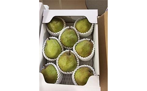 FYN9-595 ≪2025年先行予約≫山形県産 西洋梨 ラ・フランス 3kg (8～12玉) 2025年11月上旬から順次発送 洋梨 洋なし ラフランス 秋果実 果物 くだもの フルーツ ギフト 産地直送 山形県 西川町 月山