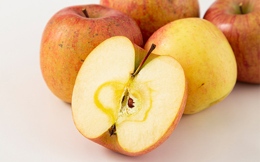 FYN9-913 【農業者支援】 加工用 山形県産 品種おまかせ りんご 約5kg くだもの フルーツ 林檎 リンゴ アップル 秋果実 生産者支援 農業者支援 支援品 自宅用 家庭用 訳アリ ワケアリ 数量限定 山形県 西川町 月山