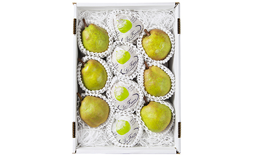 FYN9-944 ≪2026年先行予約≫山形県産 西洋梨 ラ・フランス 3kg 2026年11月上旬から順次発送 洋梨 ラフランス 秋果実 果物 くだもの フルーツ 自宅用 家庭用 産地直送 山形県 西川町 月山