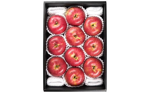 FYN9-945 山形県産 サンふじりんご 3kg 2025年11月中旬から順次発送 林檎 りんご リンゴ 秋果実 果物 くだもの フルーツ 自宅用 産地直送 期間限定 山形県 西川町 月山