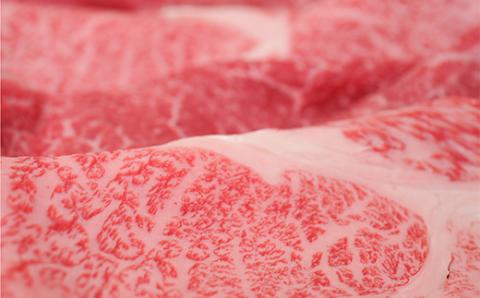 FYN9-822 月山のある西川町 銀嶺月山 純米酒（土作りから）720ml と山形県産黒毛和牛 《月山和牛》 福寿館 ロース もも すき焼き用 500g 山形県 西川町 日本酒 酒 アルコール