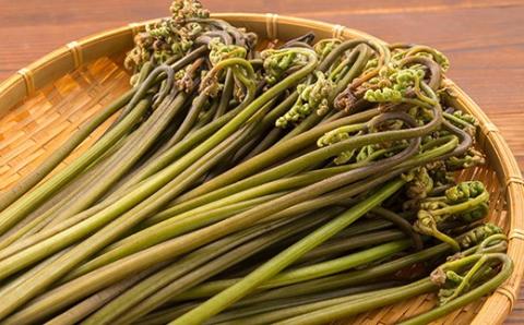 FYN9-230 《国産》塩蔵わらび 西川町産 3kg （1kg×3パック）