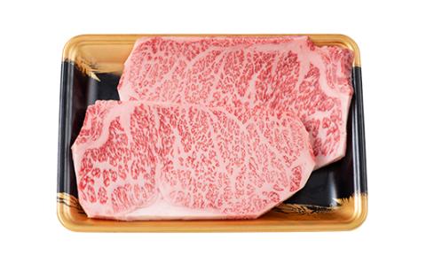FYN9-787 山形県産 山形牛 A5等級 サーロインステーキ 2枚（200g×2） 黒毛和牛 肉 国産 ブランド牛 赤身 贅沢