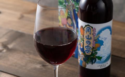 FYN9-424 山ぶどう原液「月山の宴」 2本 ブドウ 飲料 山形県 西川町