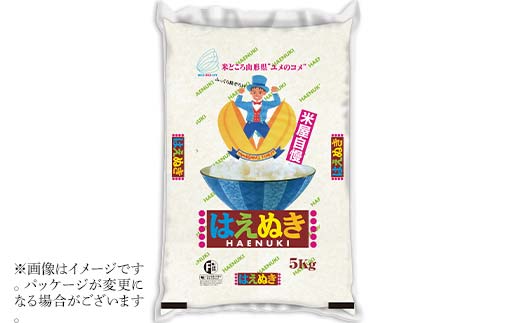 FYN1-203 令和7年産 新米 山形県産 はえぬき 5kg 2025年 お米 米 米米 ごはん ご飯 白米 国産 ブランド米 節水 時短 冷めてもおいしい お取り寄せ 食品 山形県 西川町 月山
